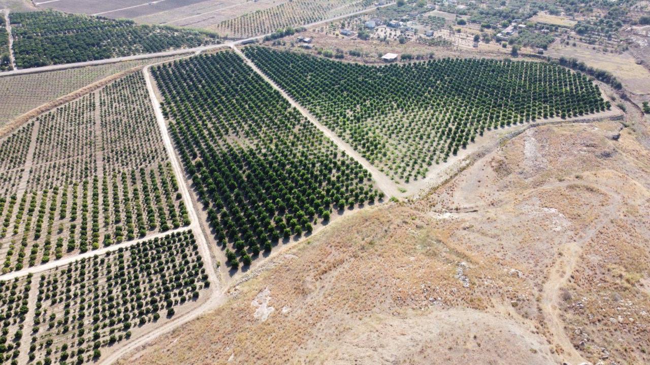 Terreno agricolo in vendita a Lentini