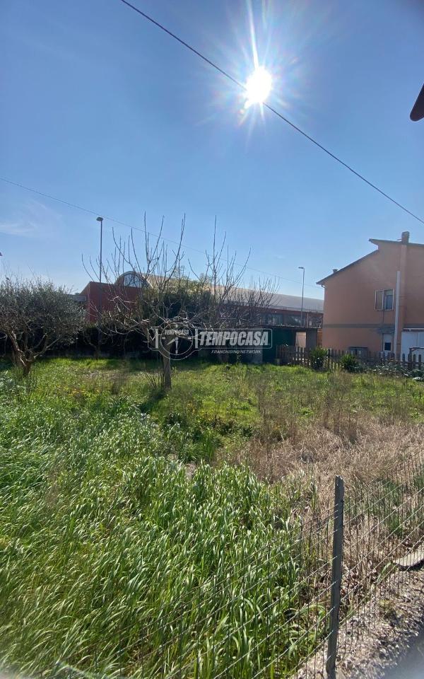 immagine annuncio 2 di 8