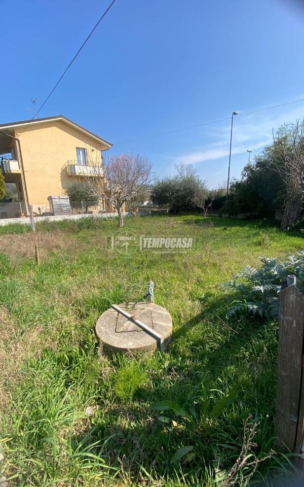 immagine annuncio 1 di 8