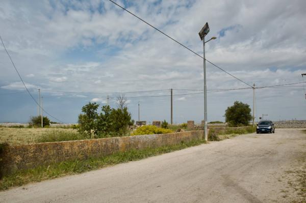 immagine annuncio 4 di 6