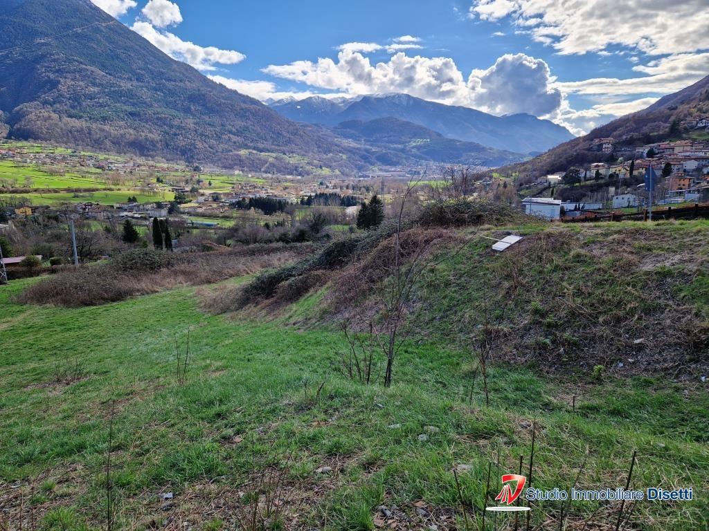 immagine annuncio 5 di 8