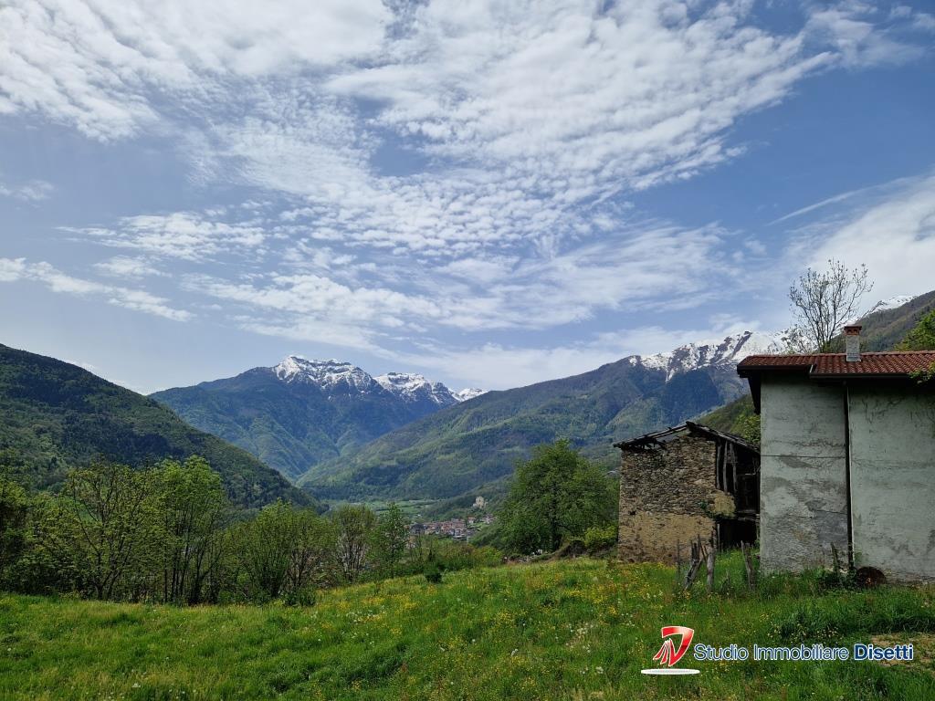 immagine annuncio 2 di 12