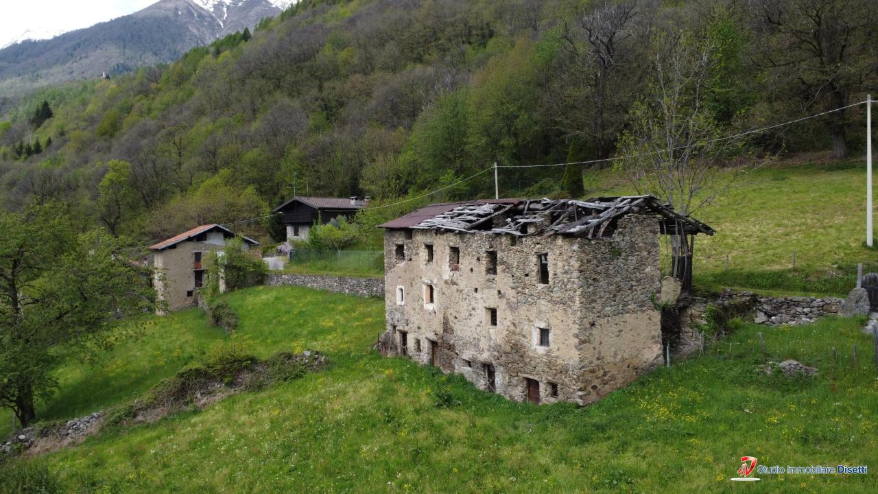 immagine annuncio 10 di 12