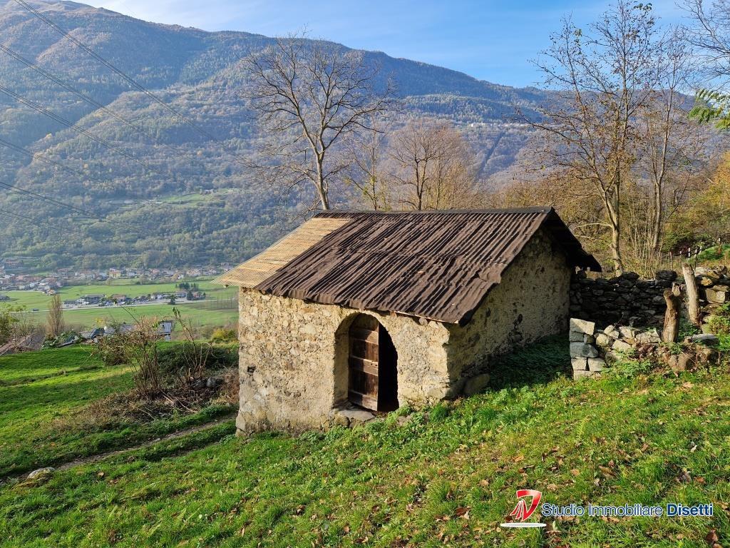 immagine annuncio 4 di 11