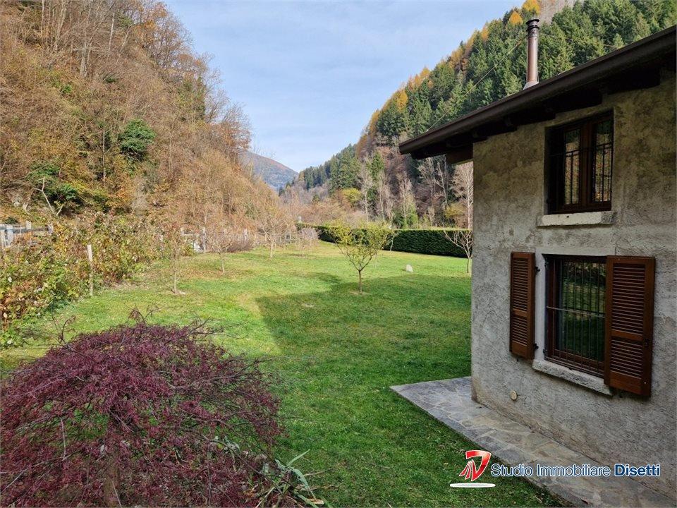 immagine annuncio 5 di 14