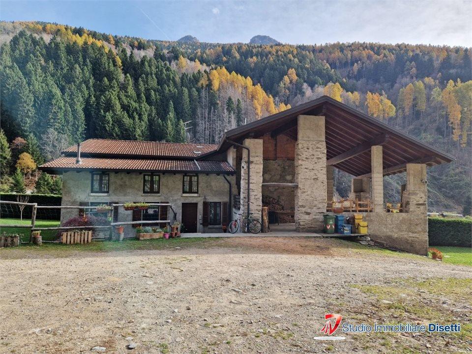 immagine annuncio 4 di 14