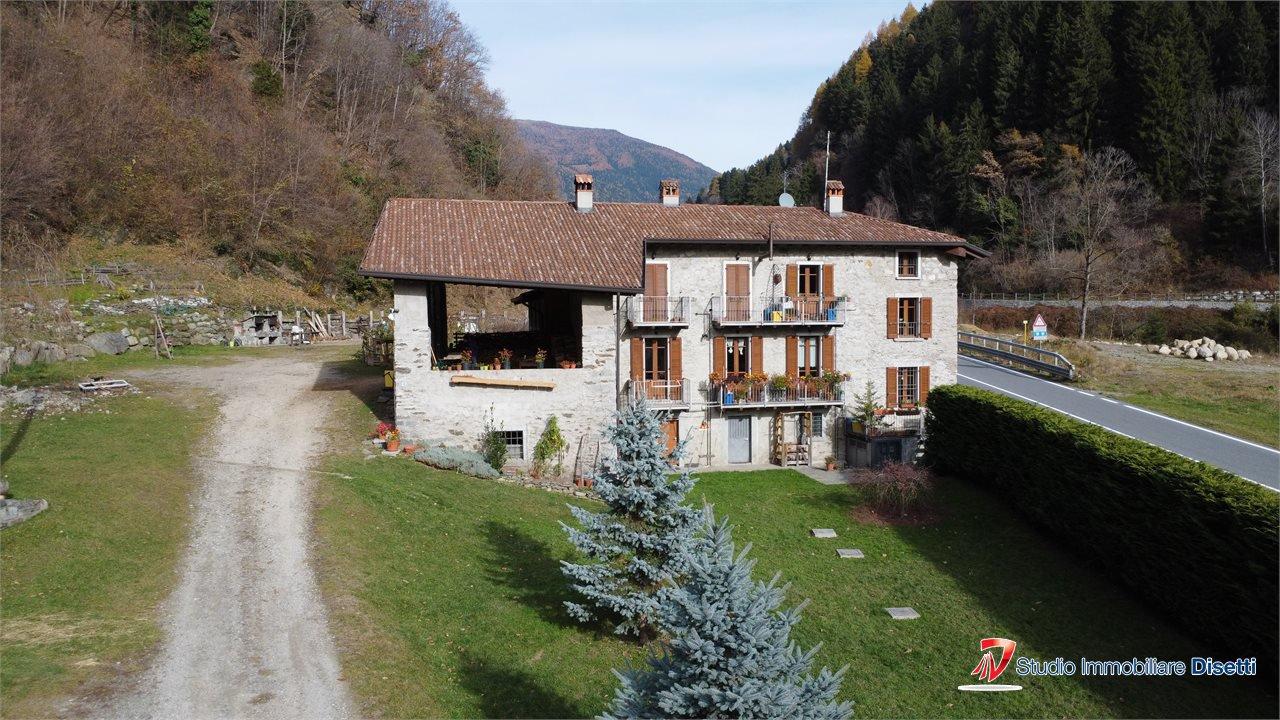 immagine annuncio 1 di 14