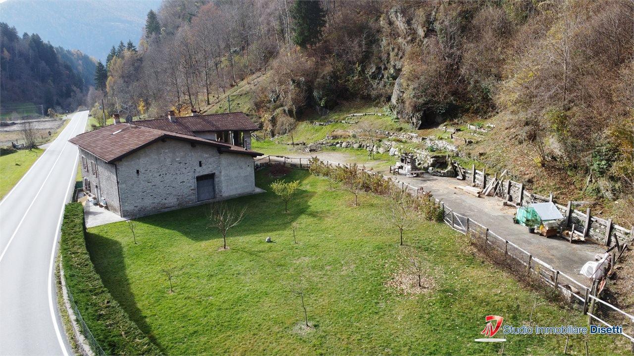 immagine annuncio 3 di 14