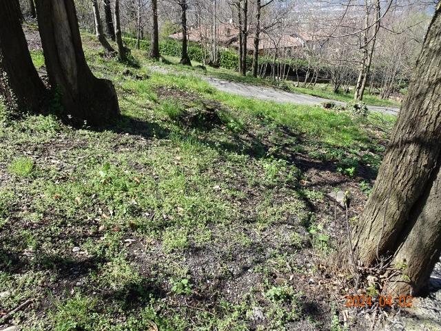 Terreno agricolo in {3}, Via della Boggia - Foto 1