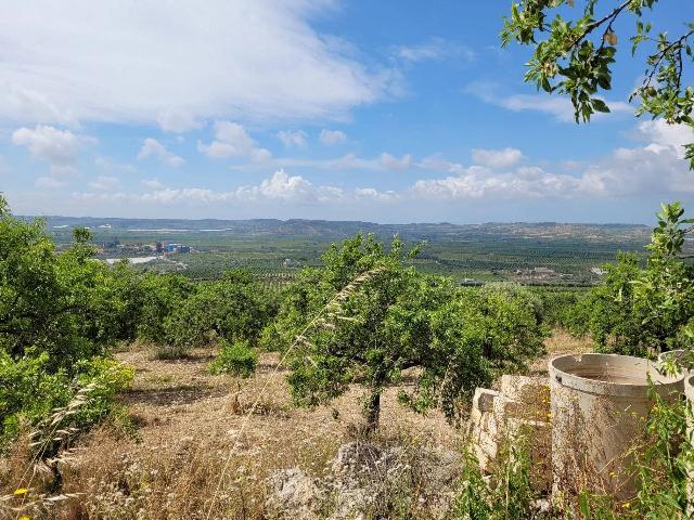 Building land in Contrada San Paolo, Noto - Photo 1