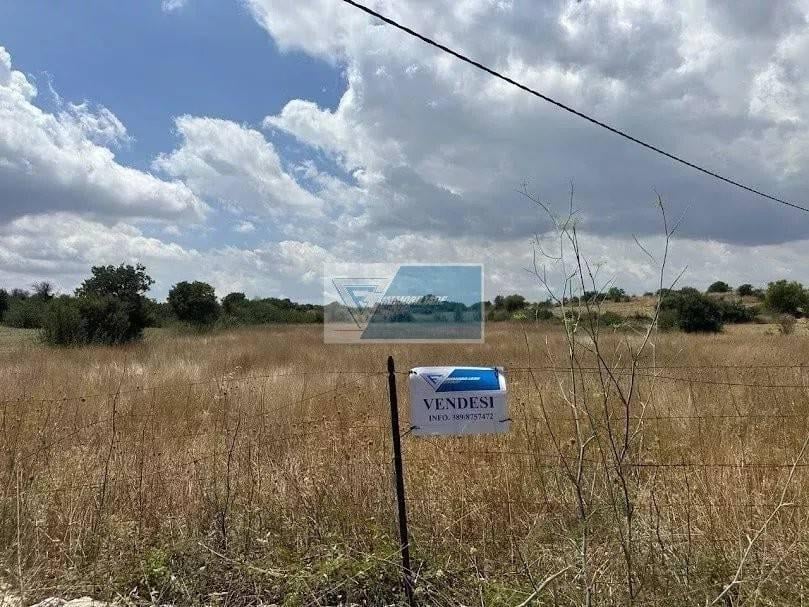 terreno agricolo in vendita a Noto