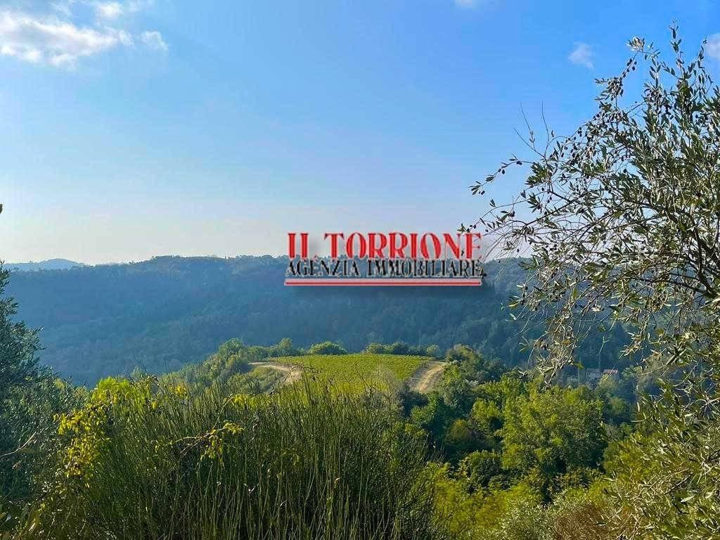 immagine annuncio 11 di 13