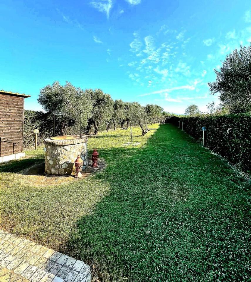 immagine annuncio 1 di 9