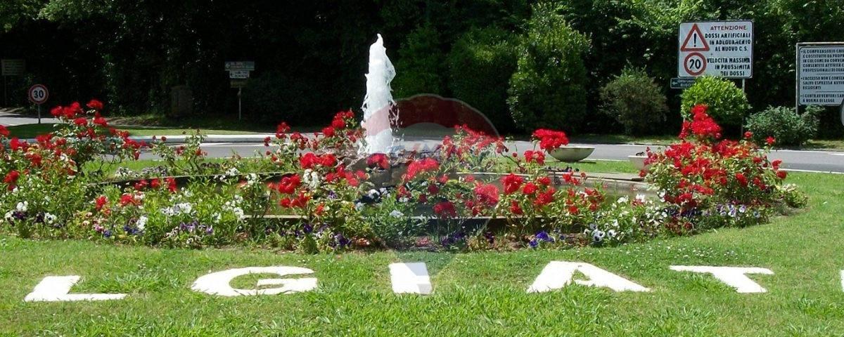 immagine annuncio 2 di 13