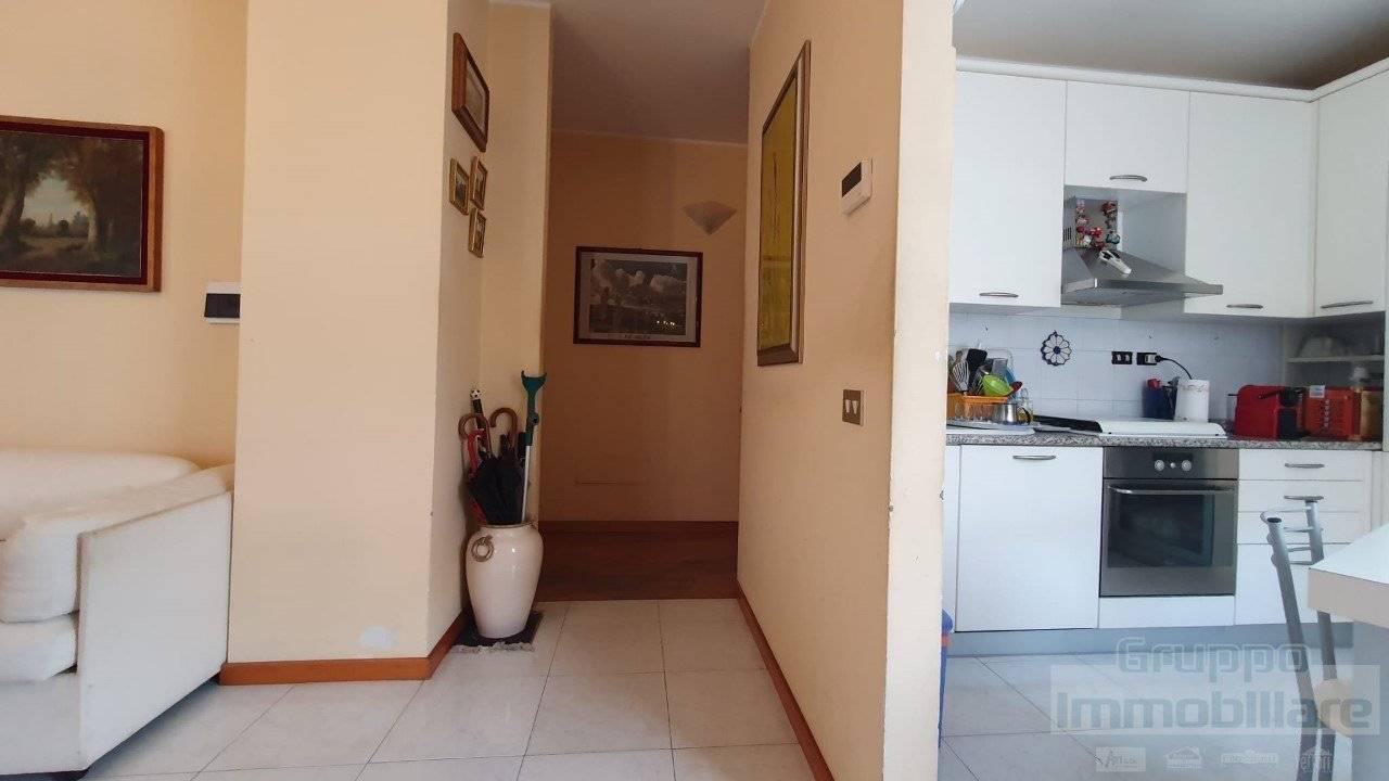 immagine annuncio 5 di 14