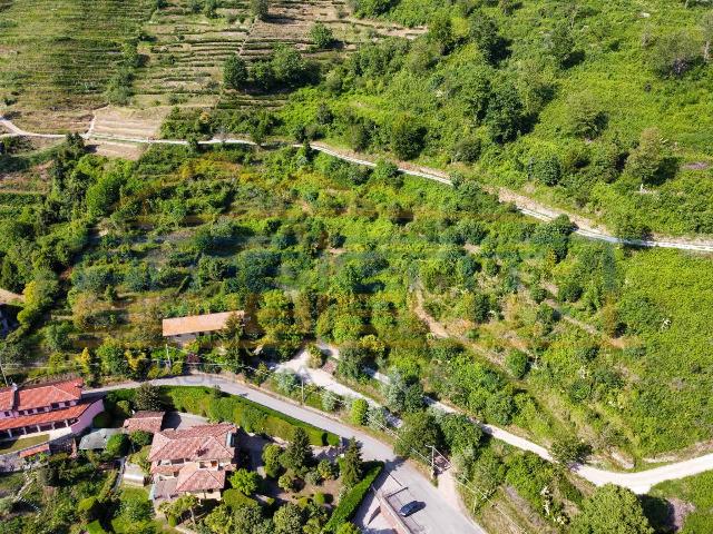 Agrargrundstück in Viale del Palazzetto, Montevecchia - Foto 1