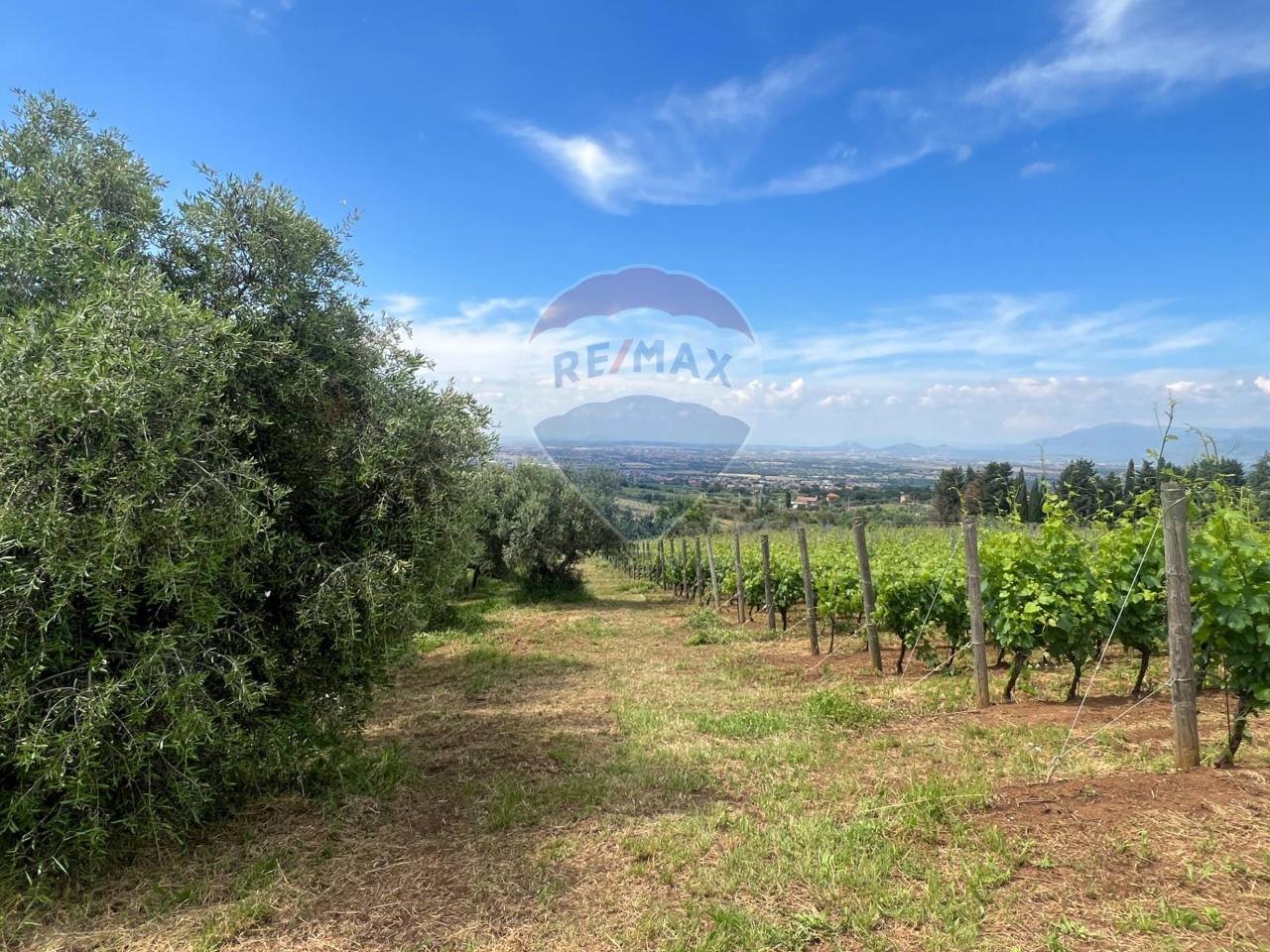 Terreno agricolo in vendita a Montecompatri