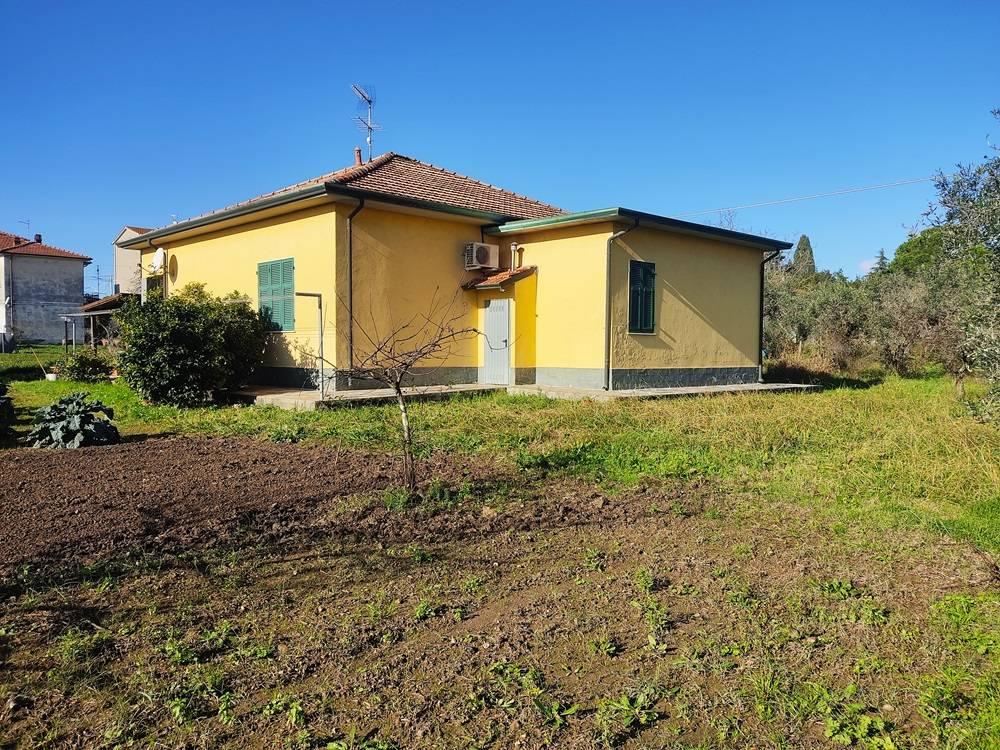 immagine annuncio 4 di 14