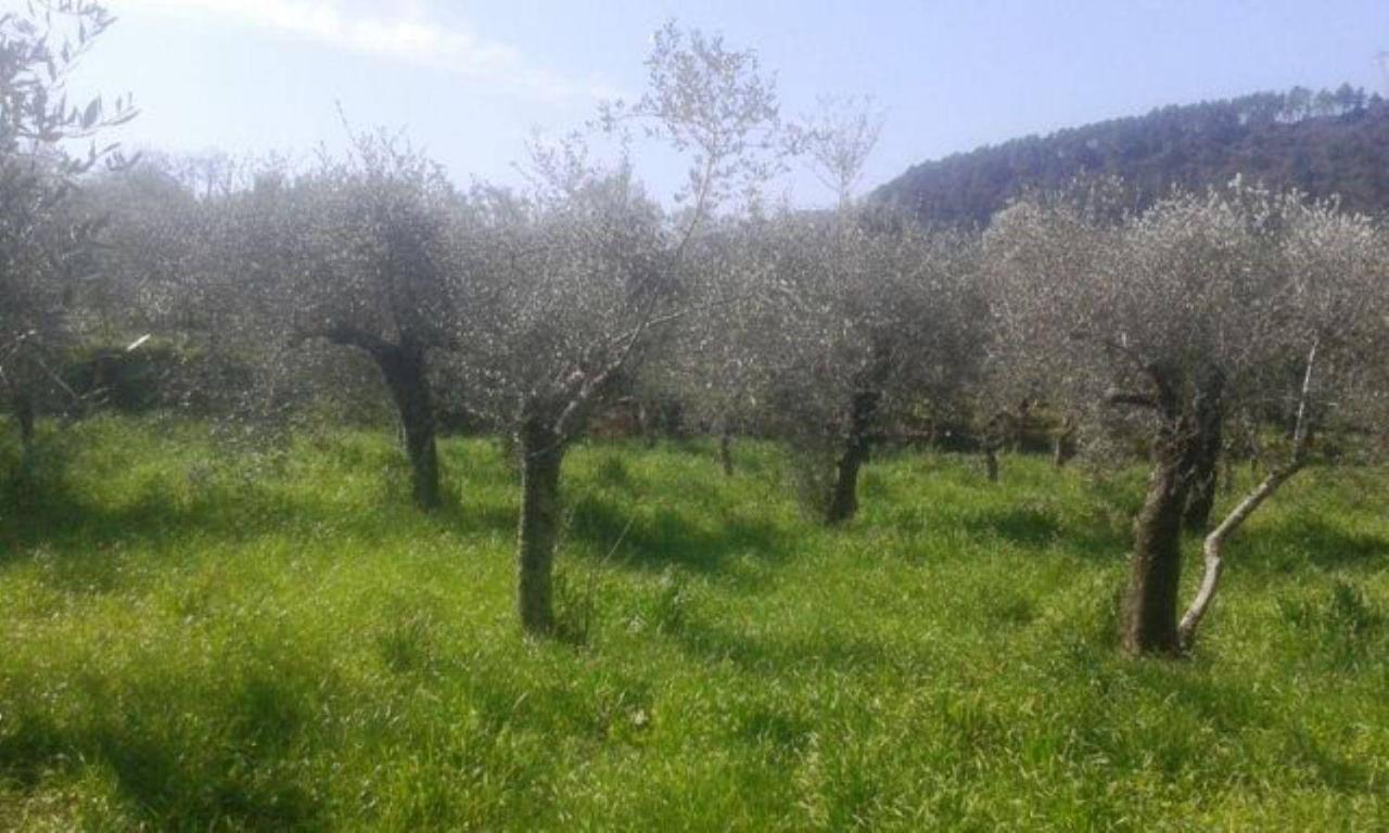 immagine annuncio 1 di 3
