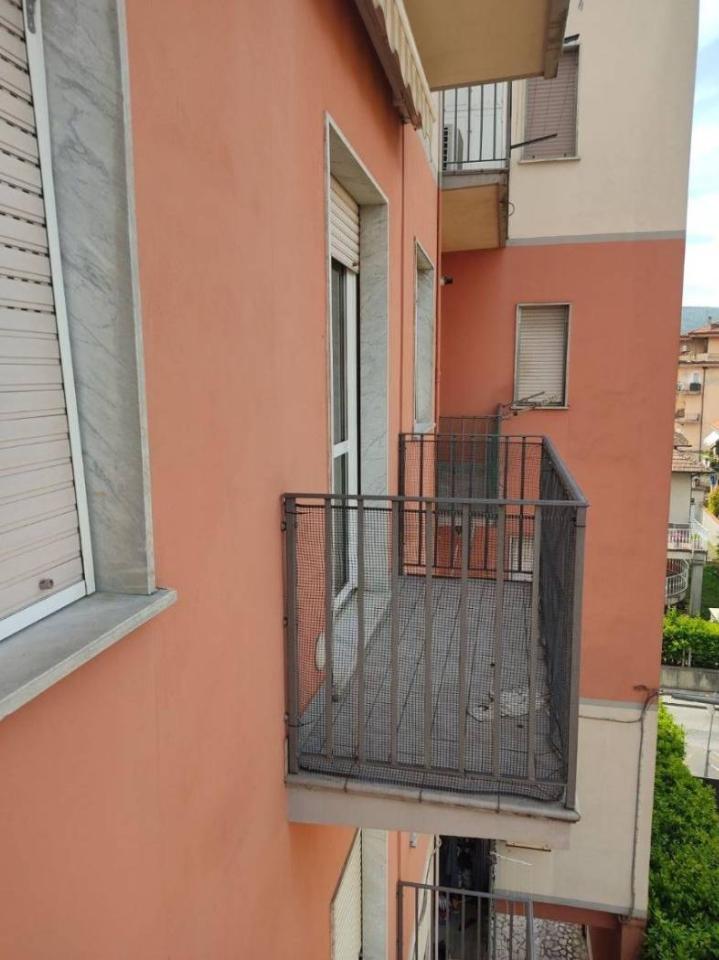 immagine annuncio 12 di 14