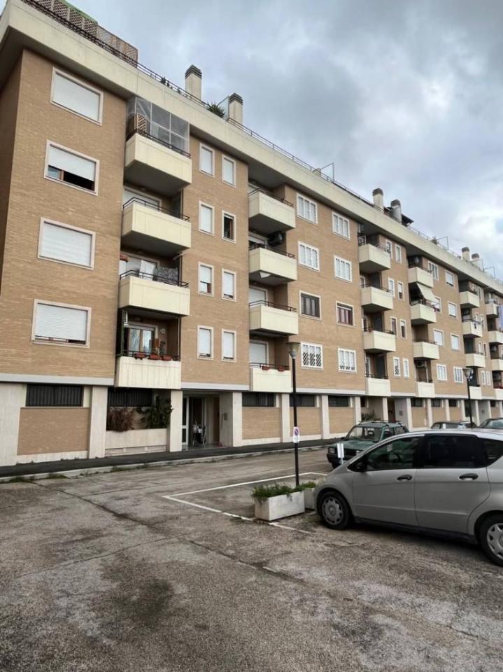 immagine annuncio 13 di 14
