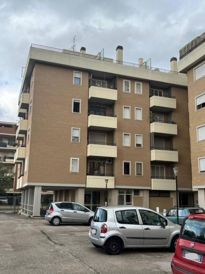 immagine annuncio 12 di 14