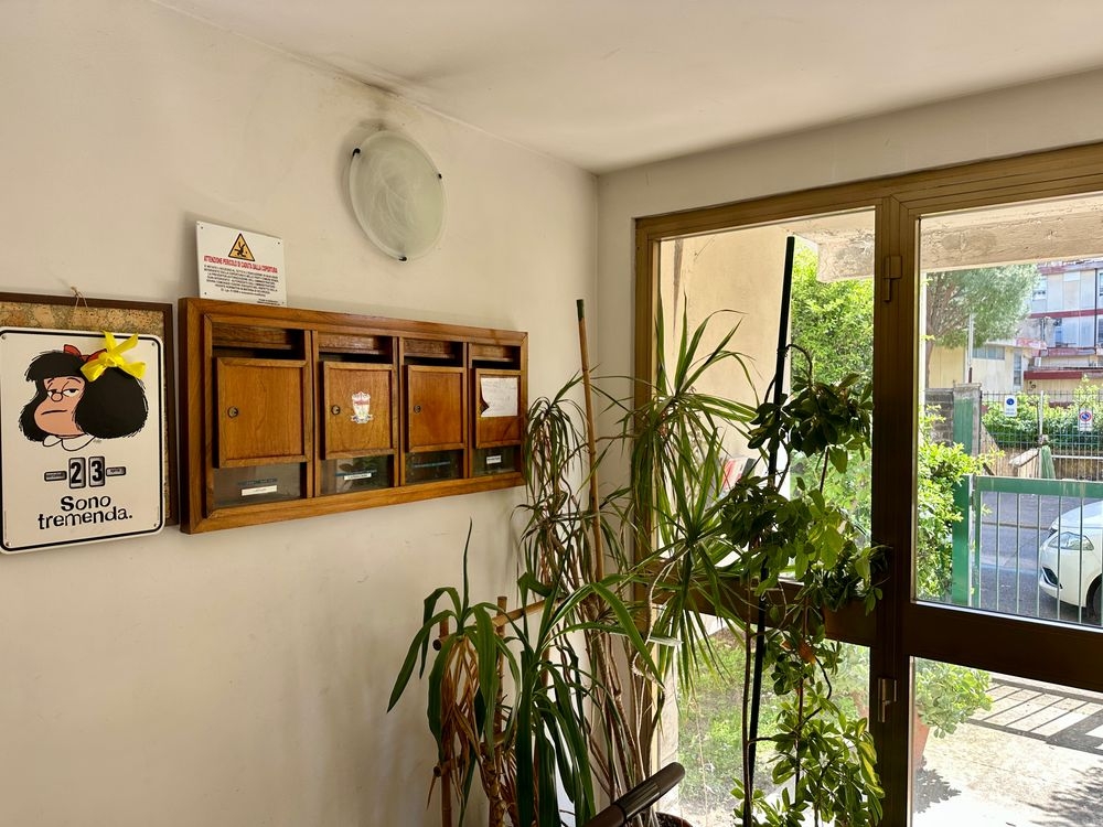immagine annuncio 5 di 6