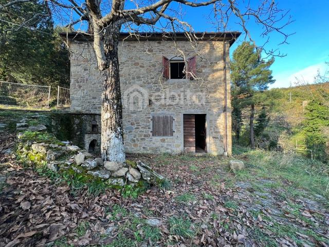 Detached house in Poggio di Loro, Loro Ciuffenna - Photo 1