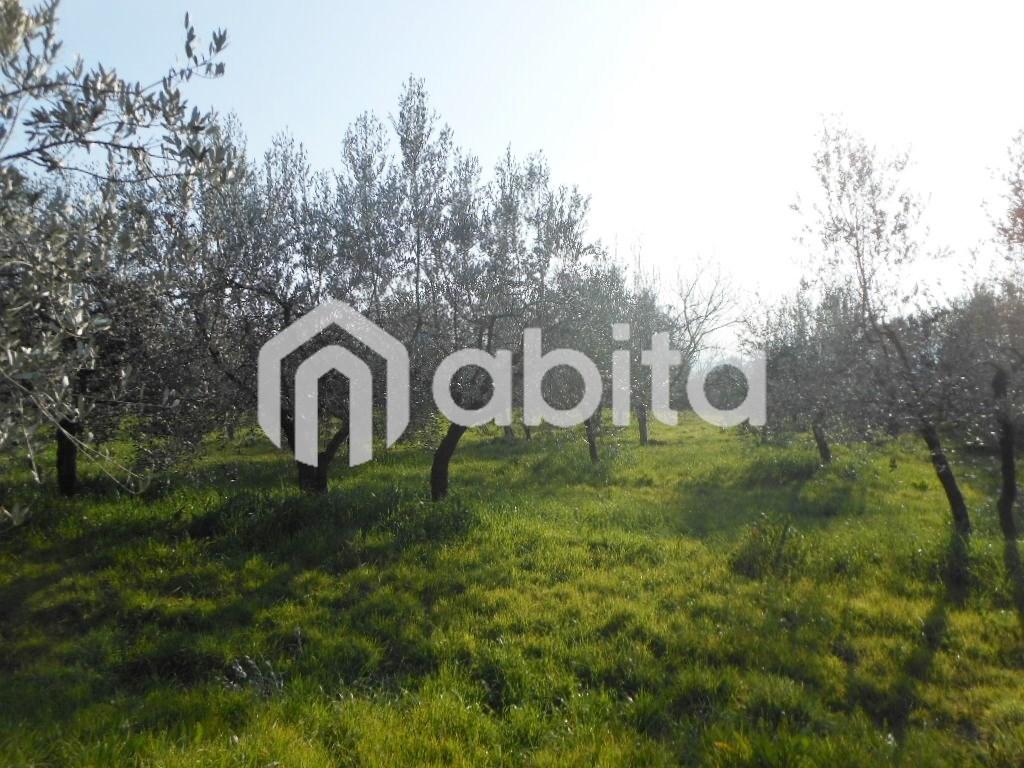 immagine annuncio 1 di 3