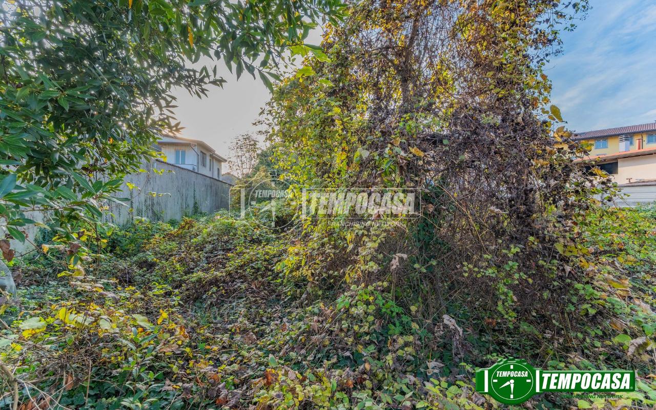 immagine annuncio 8 di 14