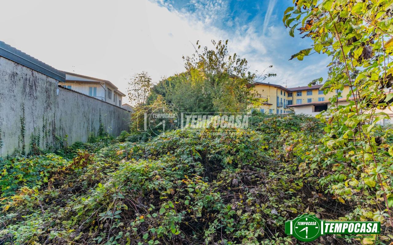 immagine annuncio 11 di 14