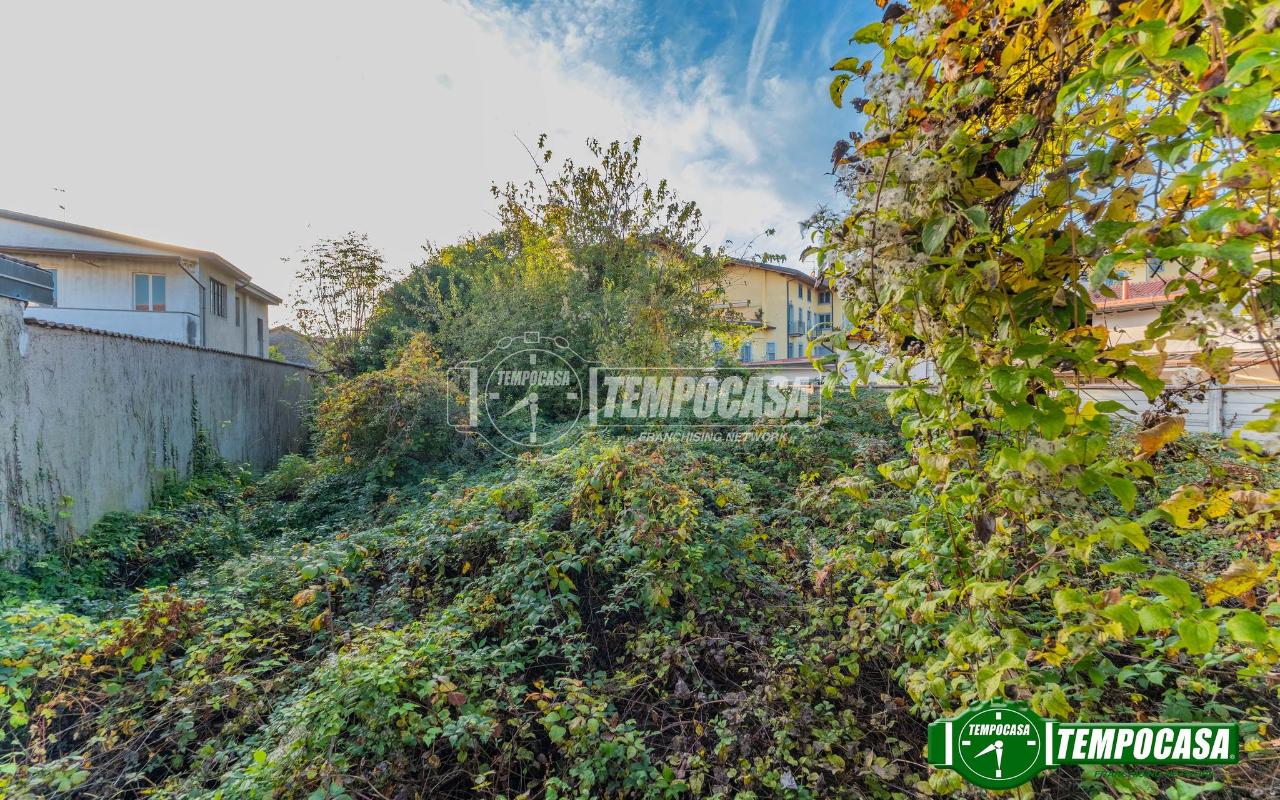 immagine annuncio 12 di 14