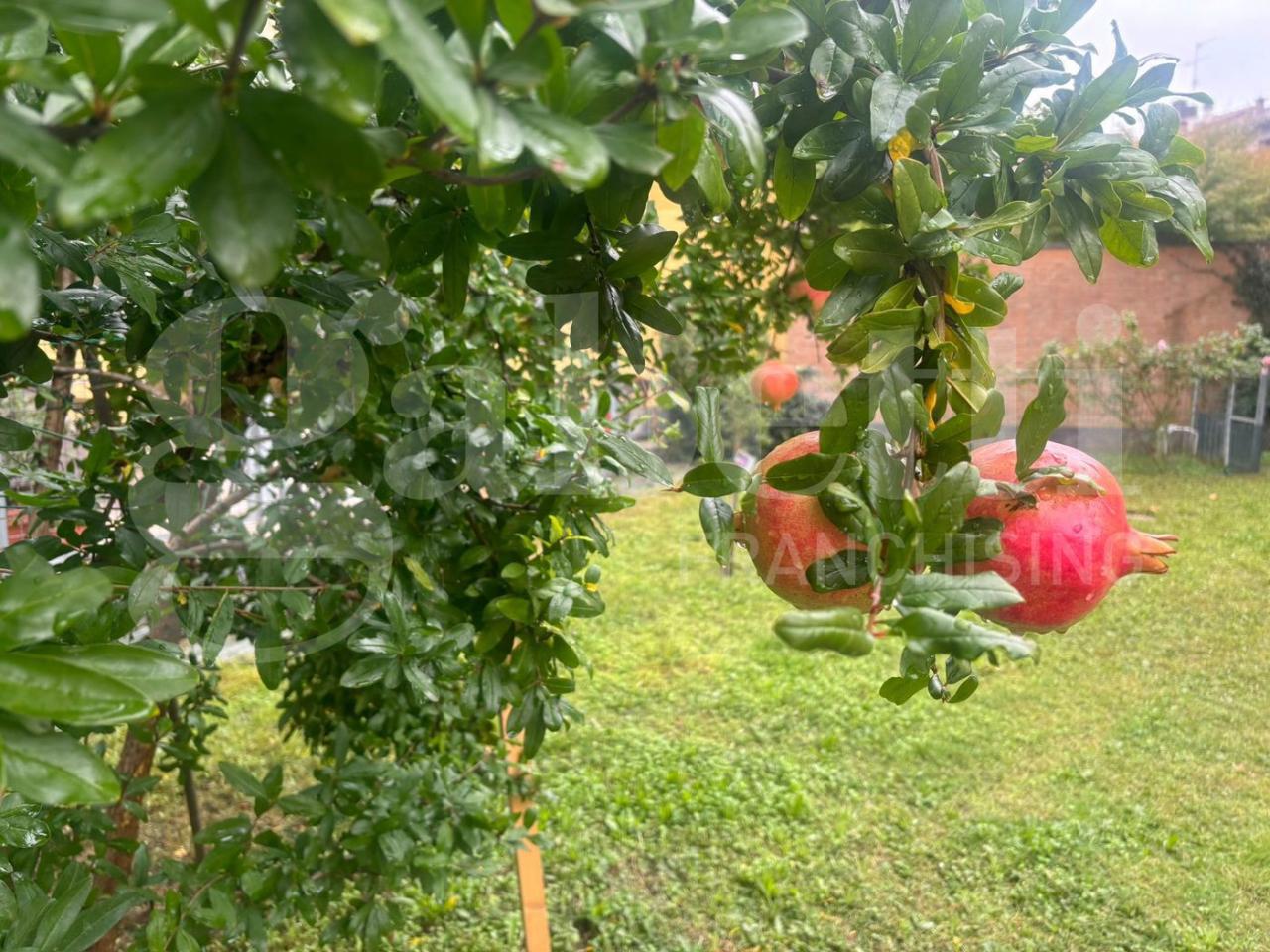 casa indipendente in vendita a Riolo Terme