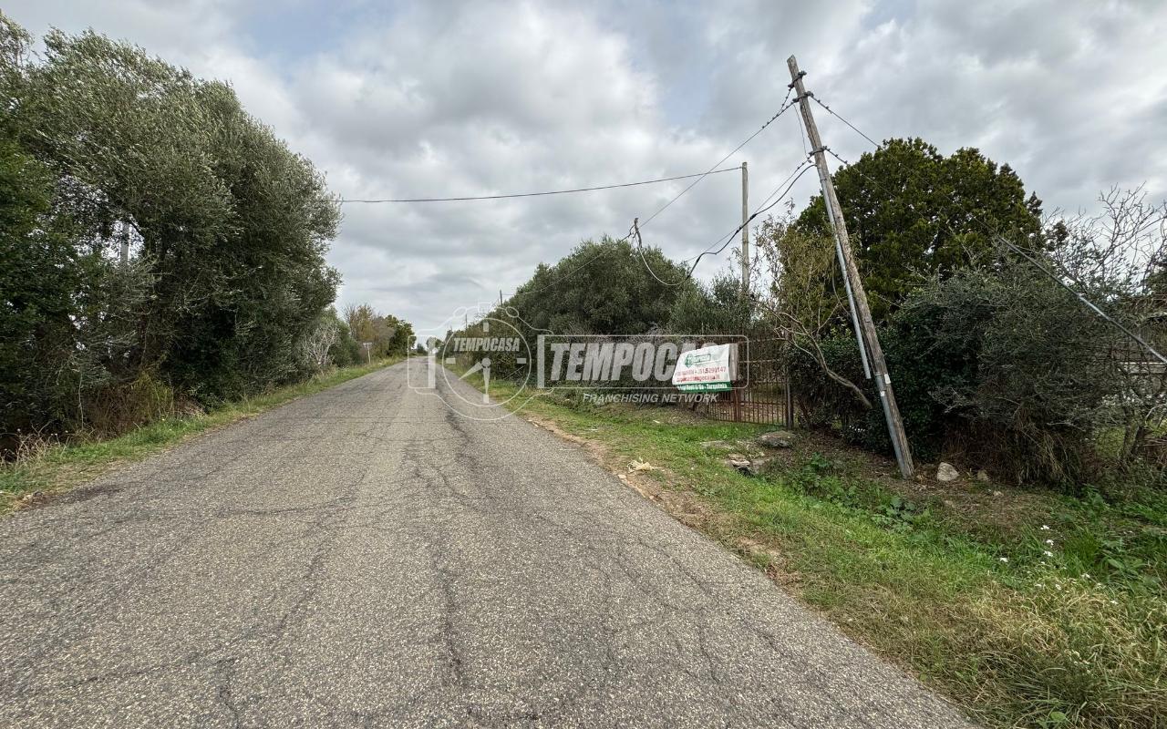 Magazzino in Strada Provinciale Roccaccia 7, Tarquinia, {3} - Foto 1