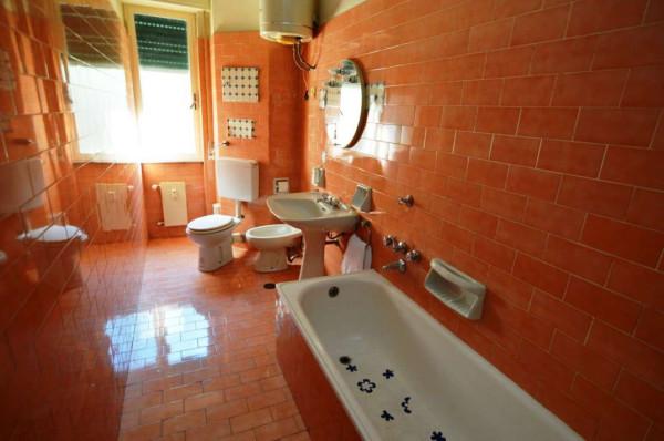 immagine annuncio 7 di 12