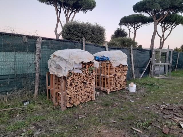 immagine annuncio 3 di 11