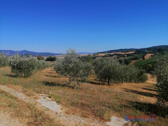 Terreno agricolo in {3}, - Foto 1