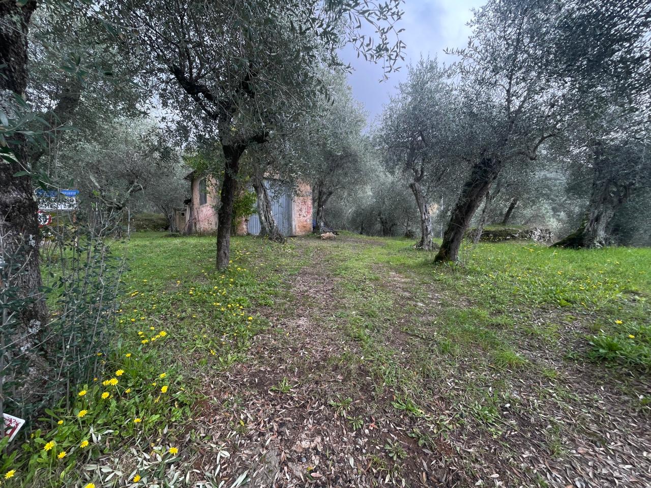 Laboratorio in , Pietrasanta, {3} - Foto 2