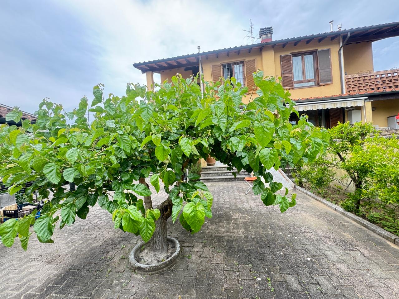 immagine annuncio 11 di 15
