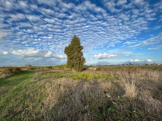 Agricultural land in Via Genio Civile 409, Aprilia - Photo 1