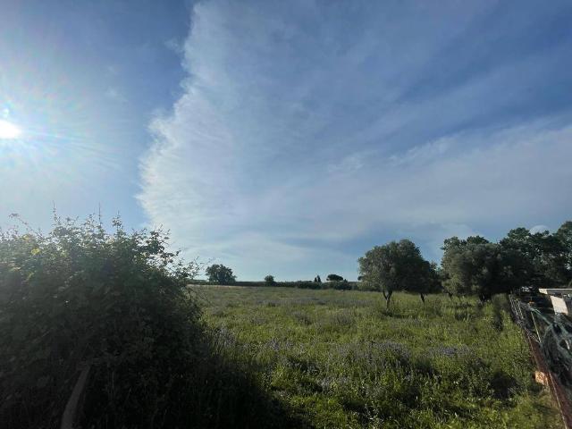 Agricultural land in Via Pantanelle, Aprilia - Photo 1