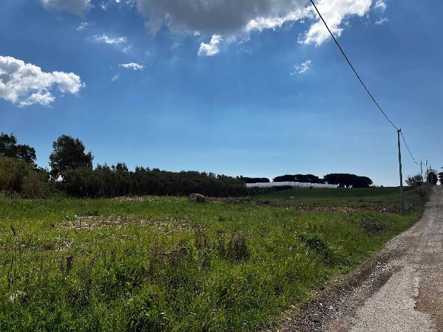 Agrargrundstück in Via Cervicione, Nettuno - Foto 1