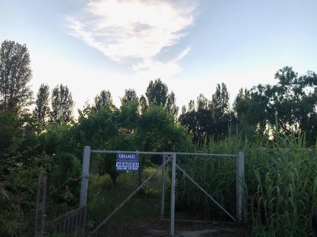 Terreno agricolo in Via del Nocciolo, Anzio - Foto 1