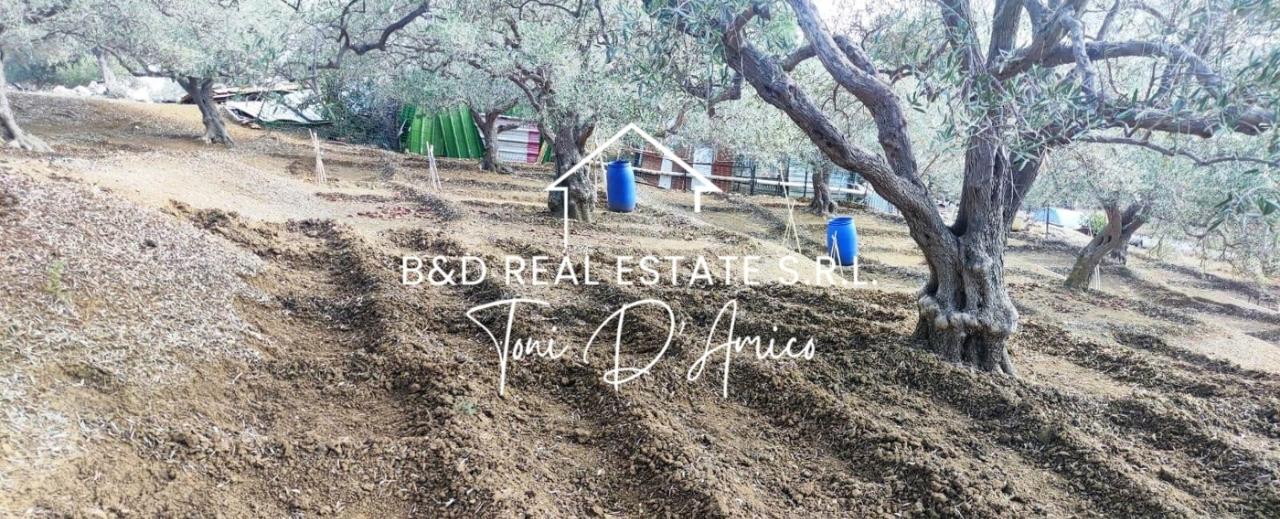 immagine annuncio 5 di 9