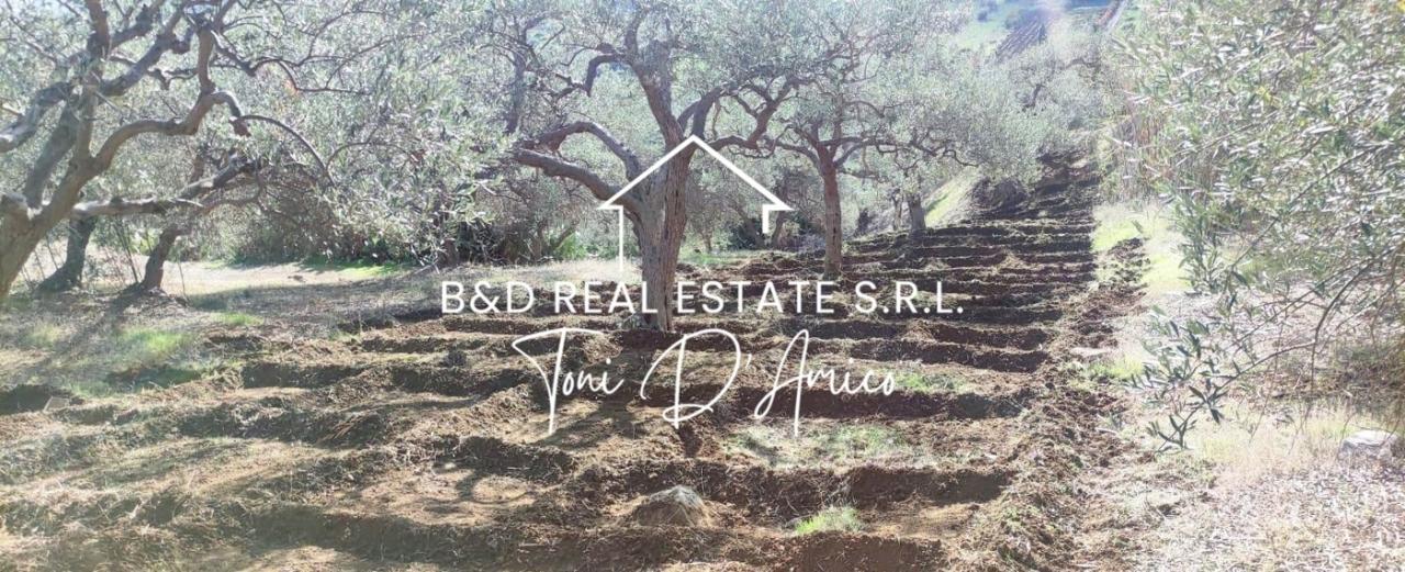 immagine annuncio 8 di 9