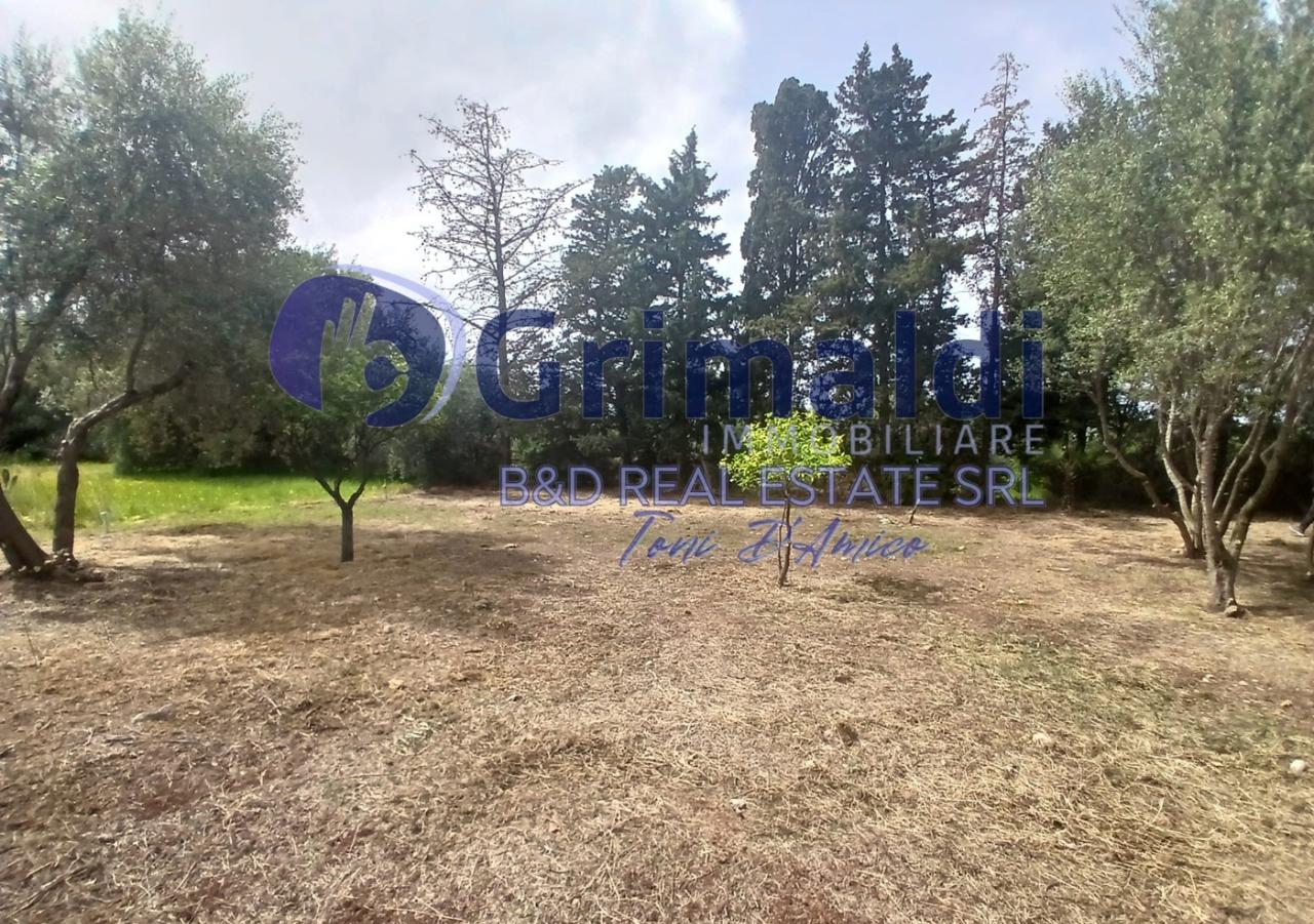 immagine annuncio 7 di 9