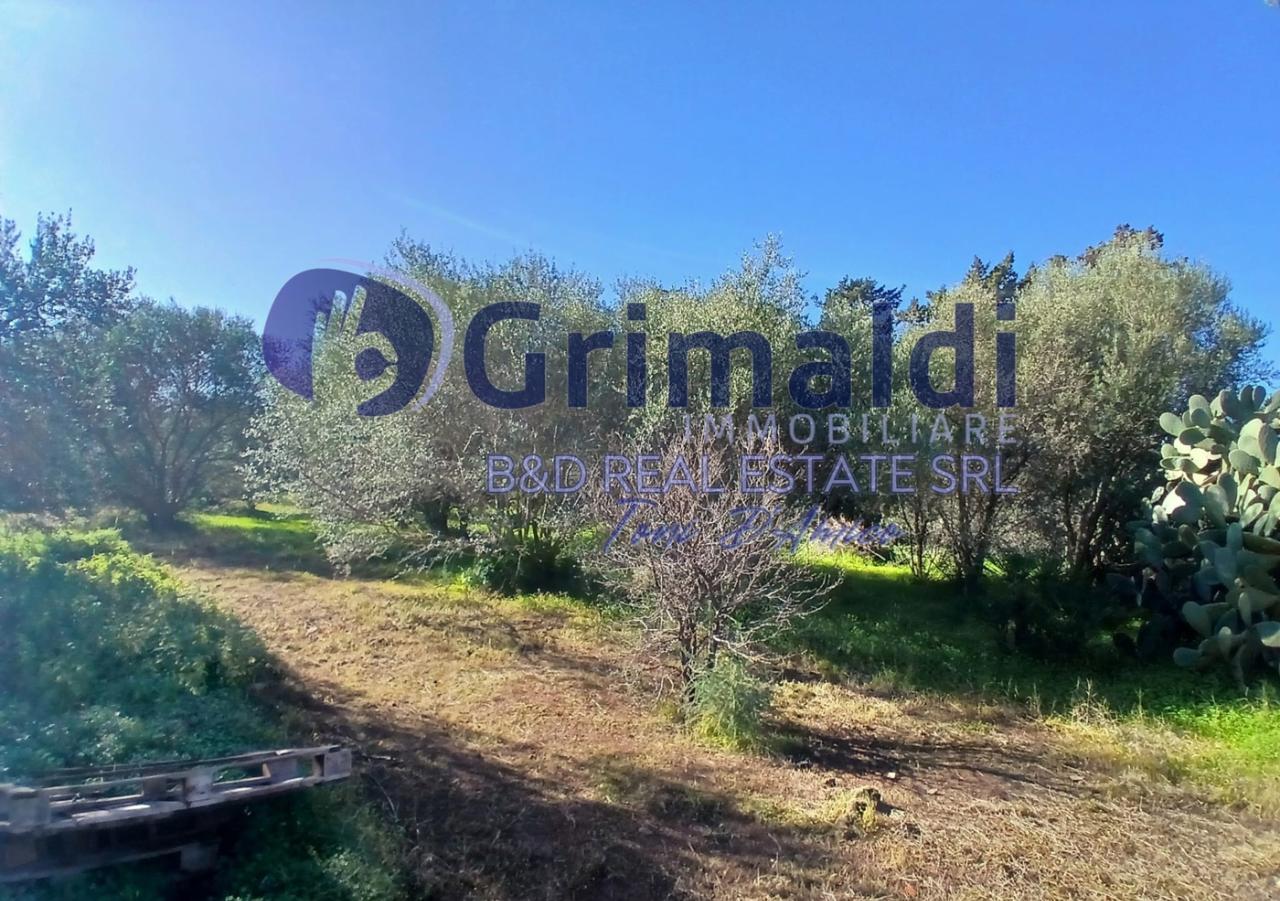 immagine annuncio 3 di 9