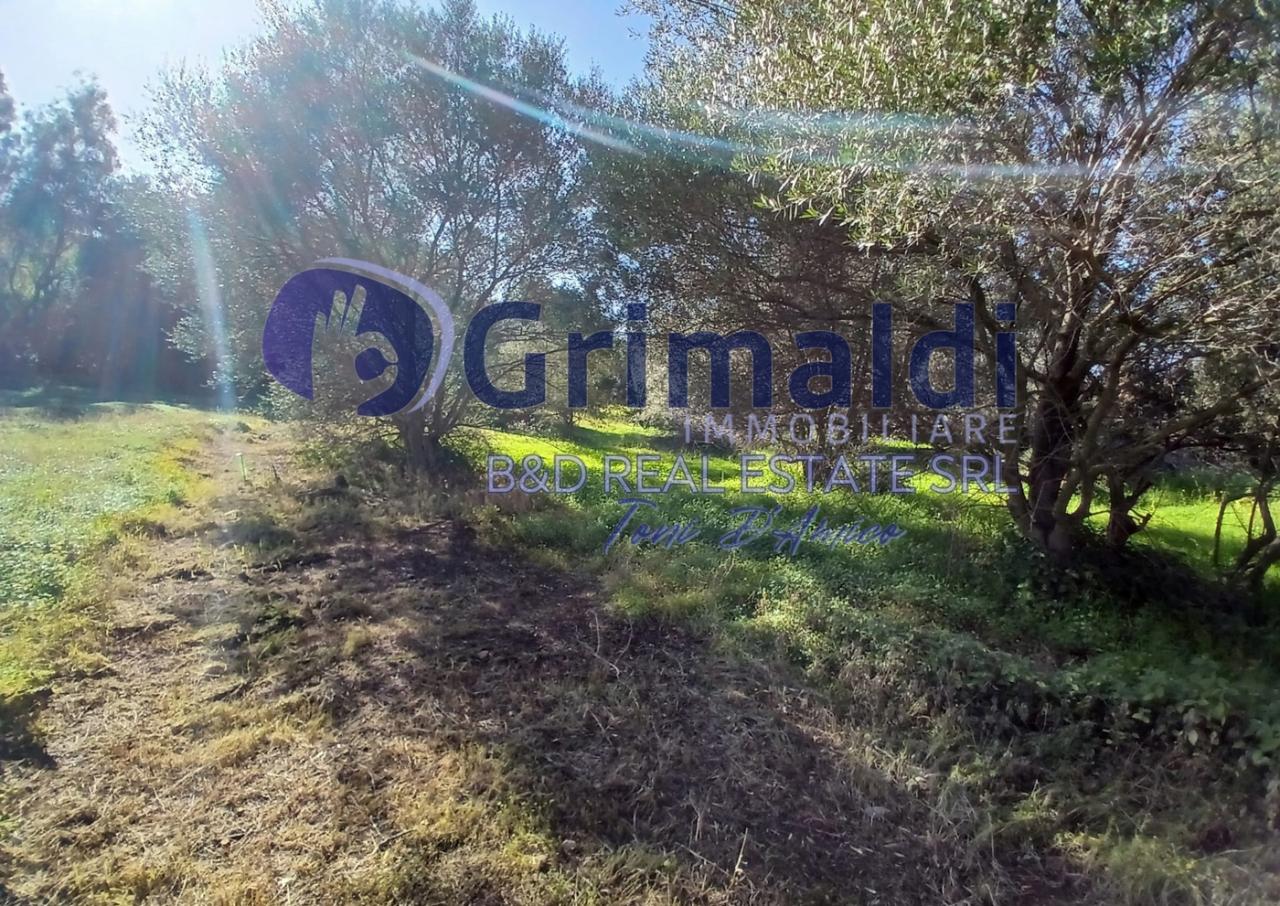 immagine annuncio 4 di 9