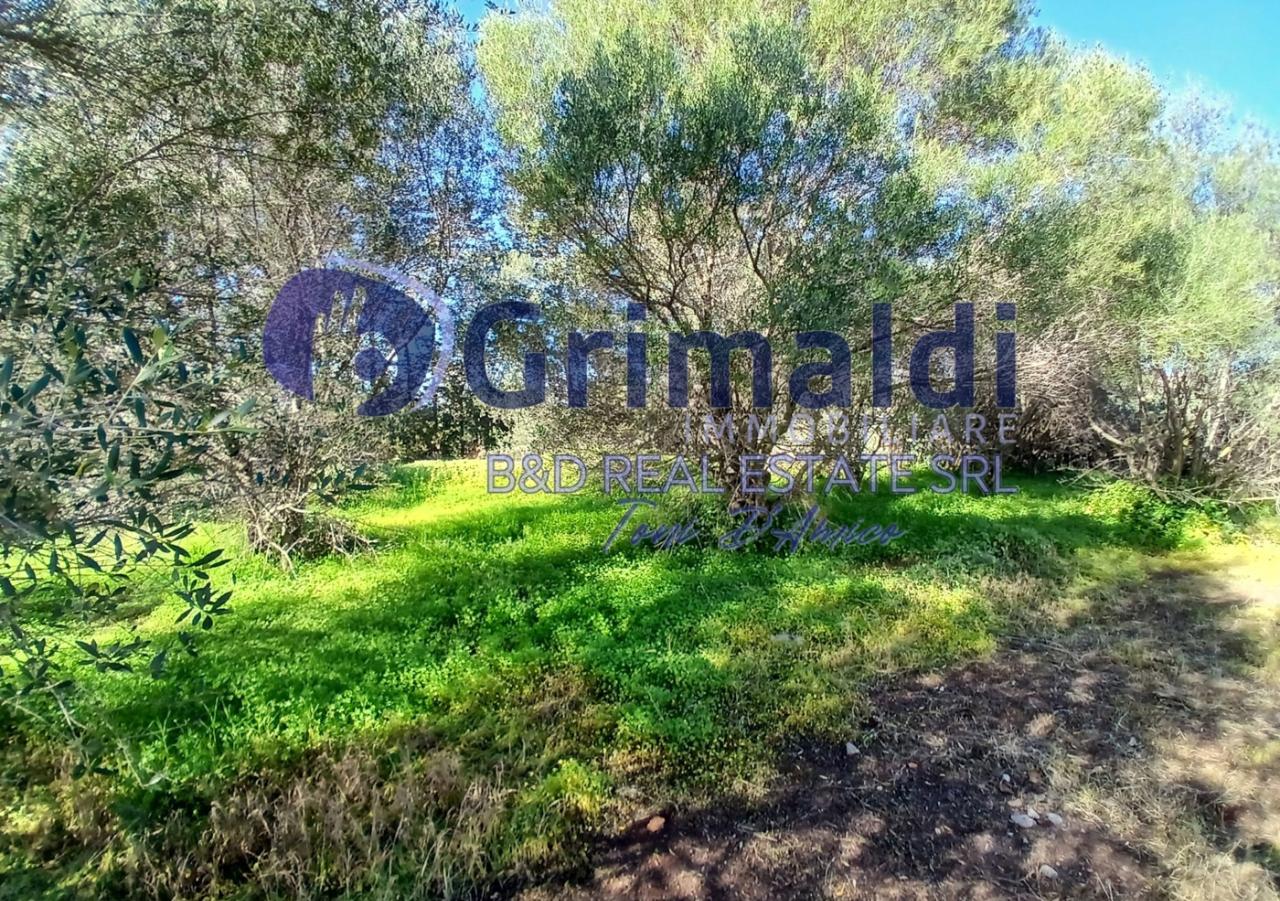 immagine annuncio 5 di 9