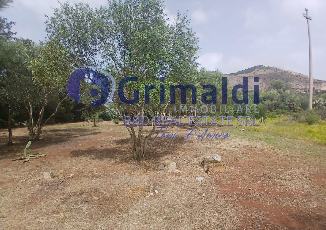 immagine annuncio 8 di 9